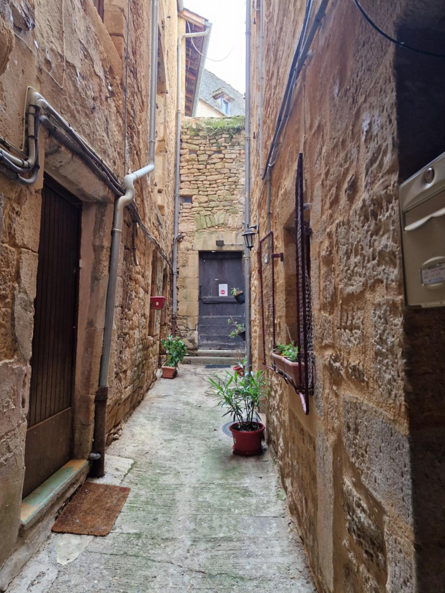 Apartamento Les Flamboyants Sarlat Exterior foto